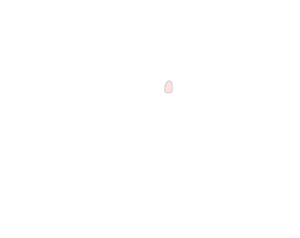 Side Mirror (Right)
