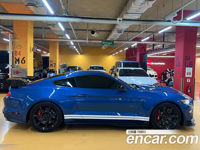 Ford Mustang Shelby GT500 Coupe - фото 2