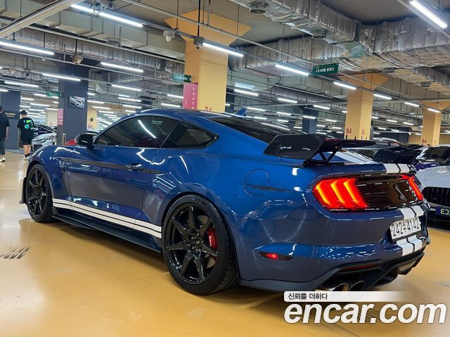Ford Mustang Shelby GT500 Coupe - фото 4