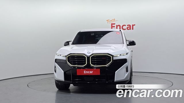 BMW XM G09 4.4 Lable - фото 2
