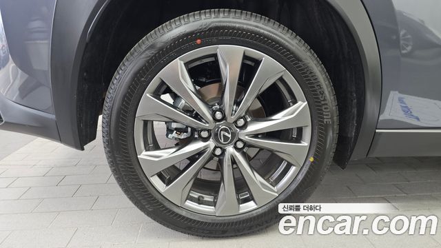 Lexus UX 300h 2.0 F-Sport 2WD - фото 4