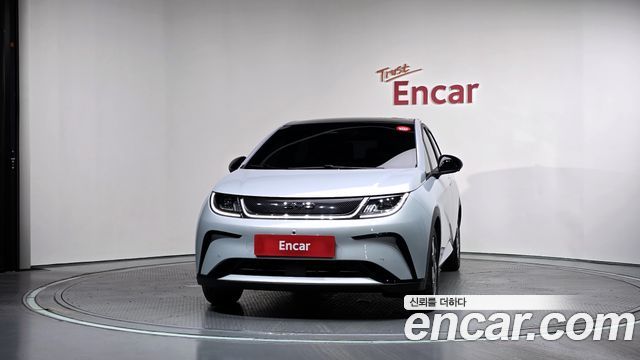 BYD Dolphin Base - фото 2