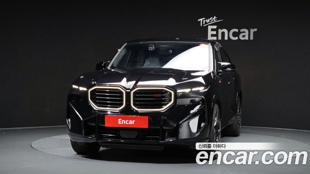 BMW XM G09 4.4 Lable - фото 2