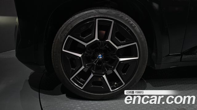 BMW XM G09 4.4 Lable - фото 4
