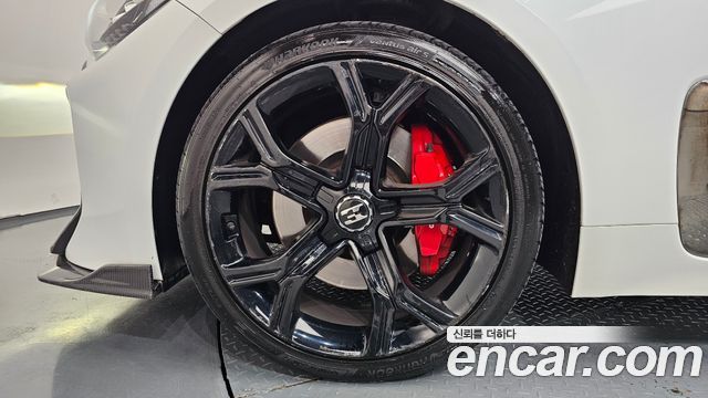 Kia Stinger 2.0 Turbo AWD Platinum - фото 4