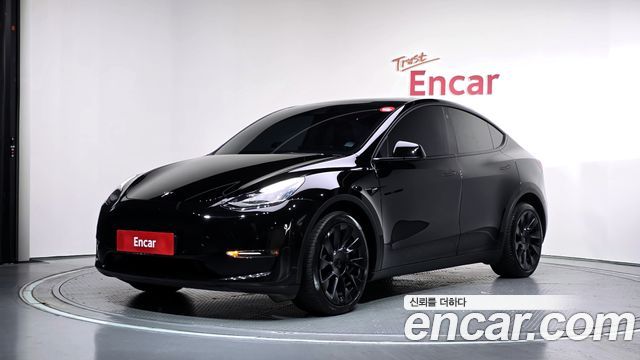 Tesla Model Y Long Range AWD - фото 0