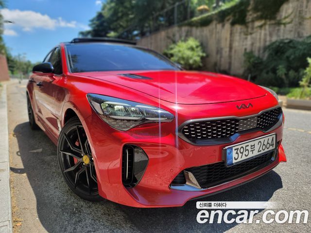 Kia Stinger Meister 2.5 AWD Platinum - фото 2
