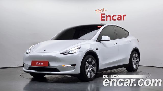 Tesla Model Y Long Range AWD - фото 0
