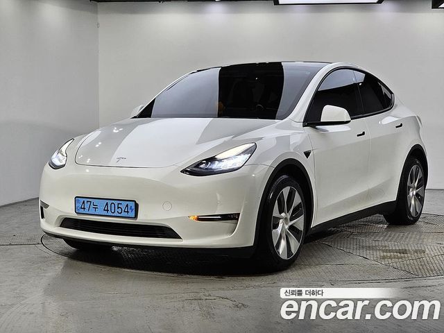 Tesla Model Y Long Range AWD - фото 0