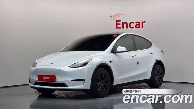 Tesla Model Y Long Range AWD - фото 0