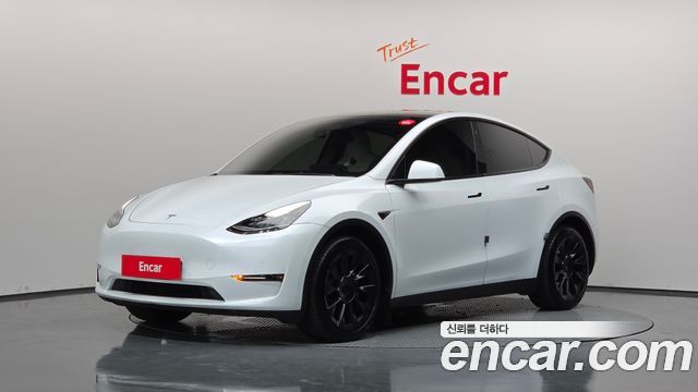 Tesla Model Y Long Range AWD - фото 0
