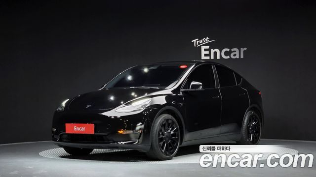 Tesla Model Y Long Range AWD - фото 0
