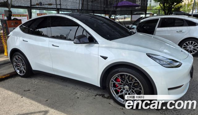 Tesla Model Y Long Range AWD - фото 0