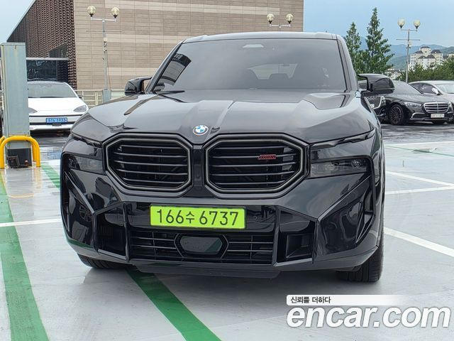 BMW XM G09 4.4 Lable - фото 2
