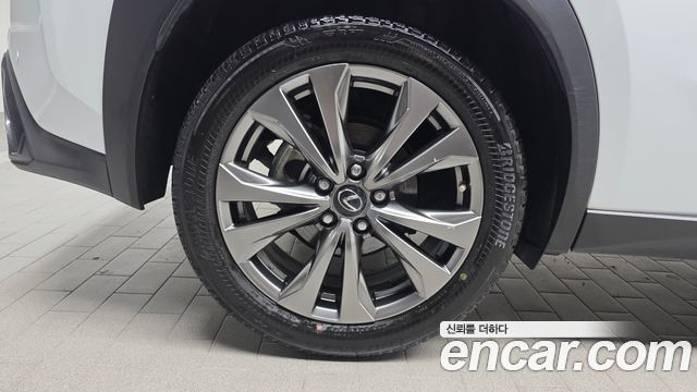 Lexus UX 250h 2.0 F-Sport 2WD - фото 3