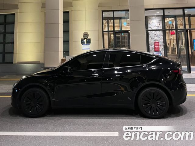 Tesla Model Y Long Range AWD - фото 0
