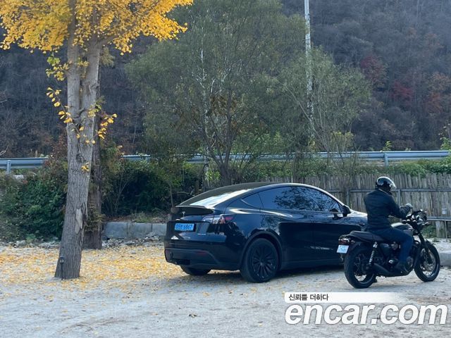 Tesla Model Y Long Range AWD - фото 2