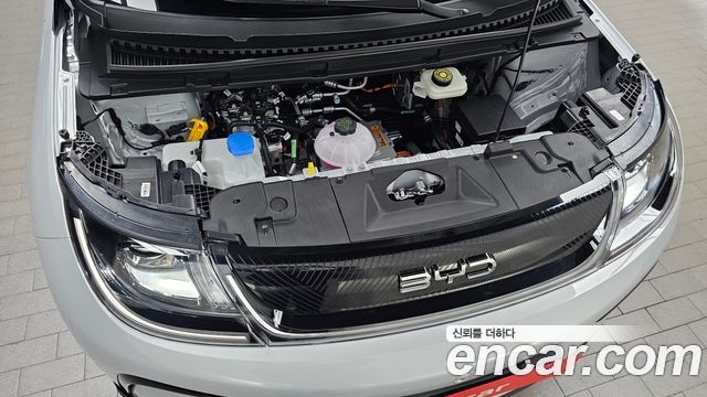 BYD Dolphin Base - фото 4