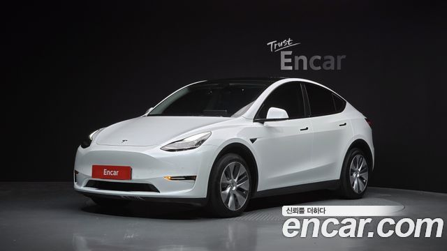Tesla Model Y Long Range AWD - фото 0