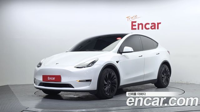 Tesla Model Y Long Range AWD - фото 0
