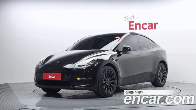 Tesla Model Y Long Range AWD - фото 0