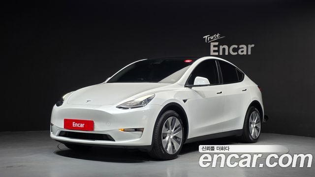 Tesla Model Y Long Range AWD - фото 0