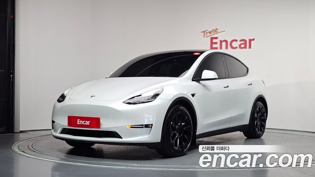 Tesla Model Y Long Range AWD - фото 0
