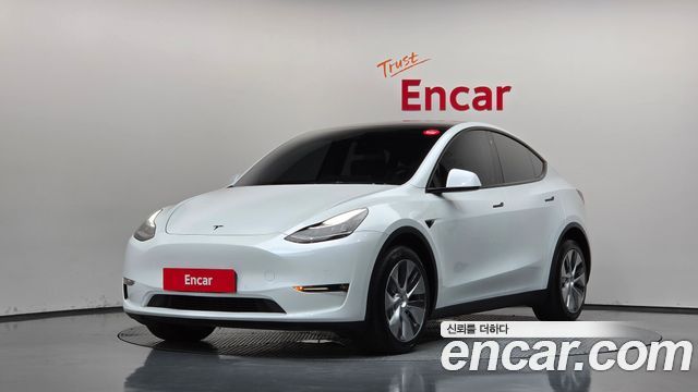 Tesla Model Y Long Range AWD - фото 0