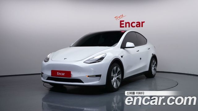 Tesla Model Y Long Range AWD - фото 0