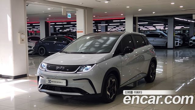 BYD Dolphin Base - фото 0