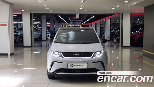 BYD Dolphin Base - фото 1