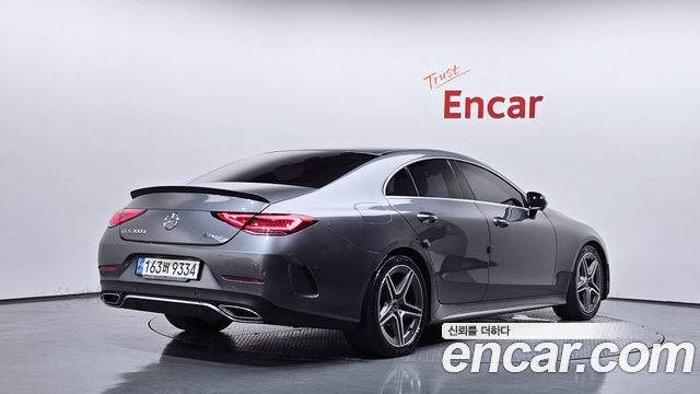 Mercedes-Benz CLS-Class C257 CLS300d AMG Line - фото 2