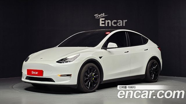 Tesla Model Y Long Range AWD - фото 0