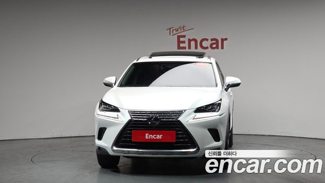 Lexus NX 300h Executive - фото 1