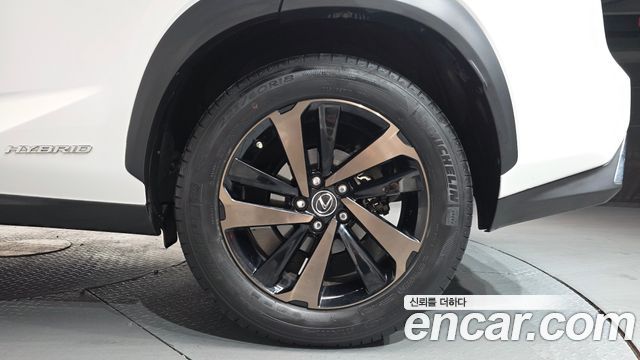 Lexus NX 300h Executive - фото 3