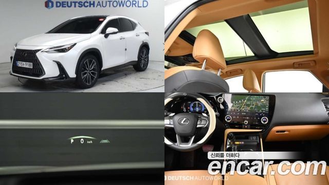 Lexus NX 350h 2-го поколения Luxury - фото 0