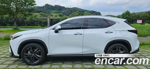 Lexus NX 350h 2-го поколения Premium - фото 2