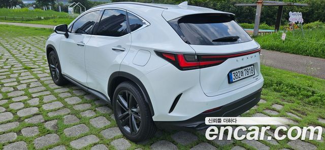 Lexus NX 350h 2-го поколения Premium - фото 3