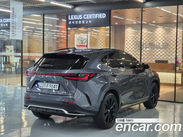Lexus NX 450h+ 2-го поколения F-Sport - фото 1