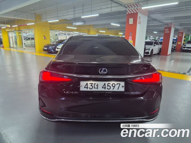 Lexus ES 300h 7-го поколения Executive - фото 3