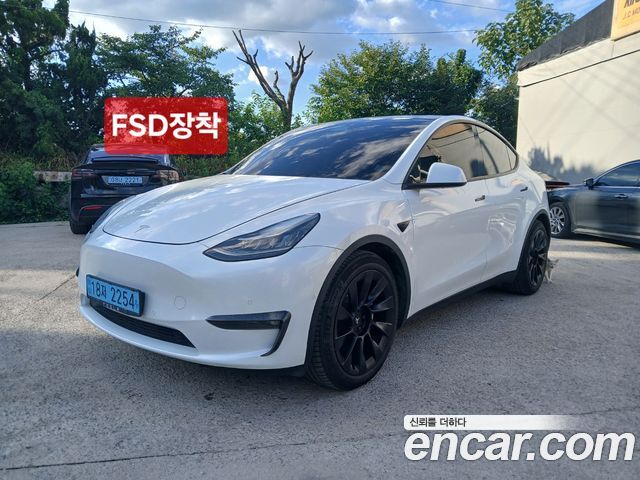 Tesla Model Y Long Range AWD - фото 0