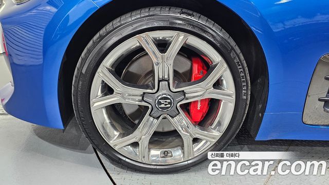 Kia Stinger 2.0 Turbo AWD Platinum - фото 4