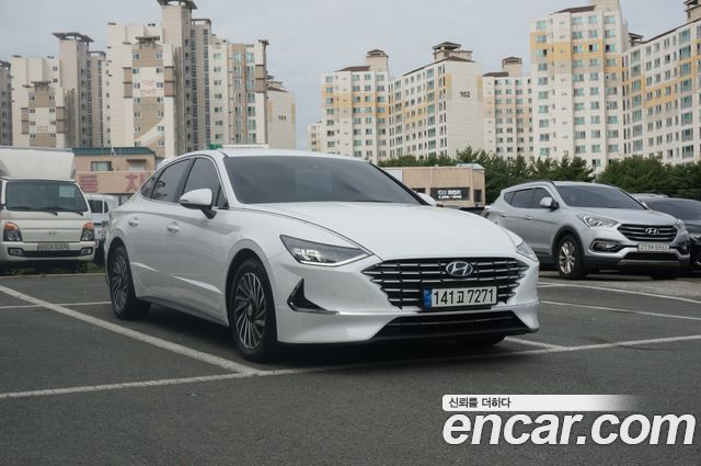 Hyundai Sonata DN8, гибрид Premium Plus - фото 2