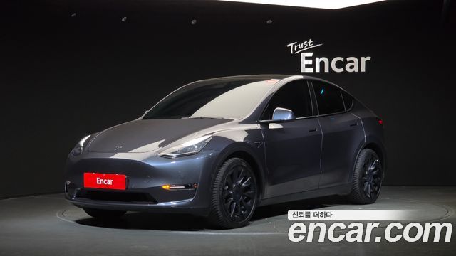 Tesla Model Y Long Range AWD - фото 0