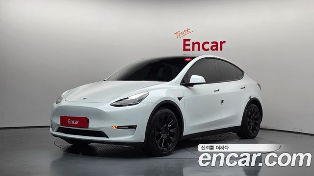 Tesla Model Y Long Range AWD - фото 0