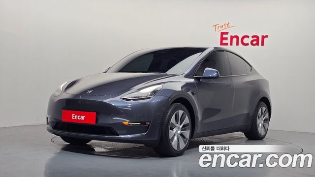 Tesla Model Y Long Range AWD - фото 0