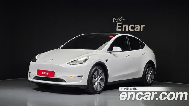 Tesla Model Y Long Range AWD - фото 0