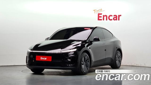 Tesla Model Y Long Range AWD - фото 0