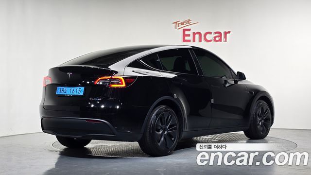 Tesla Model Y Long Range AWD - фото 0