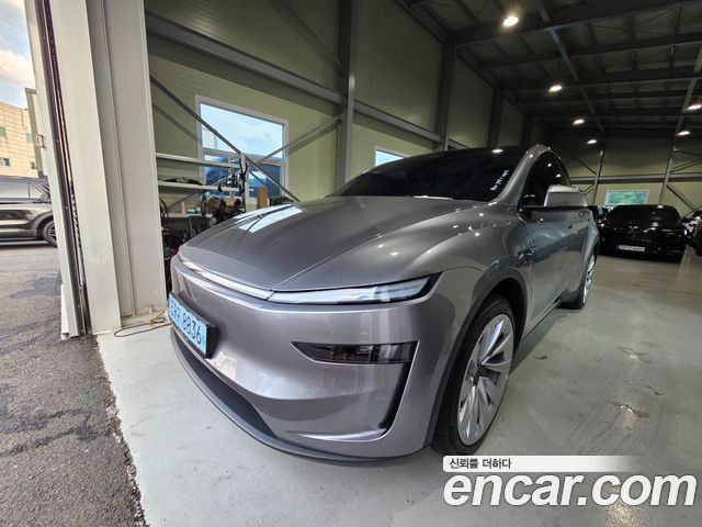 Tesla Model Y Long Range Launch Edition AWD - фото 0